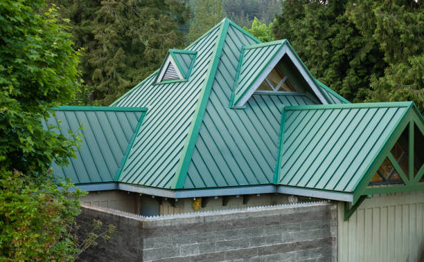 Best Roof Ventilation Installation  in South Barrington, IL