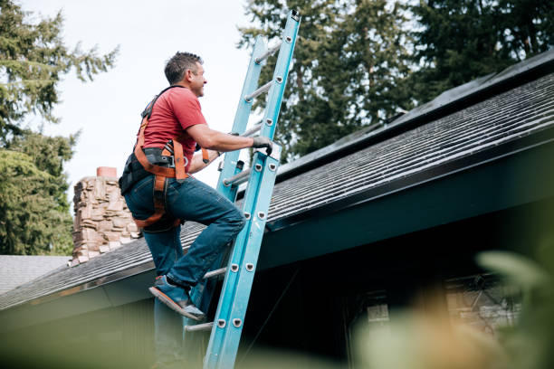 Roof Insulation in South Barrington, IL